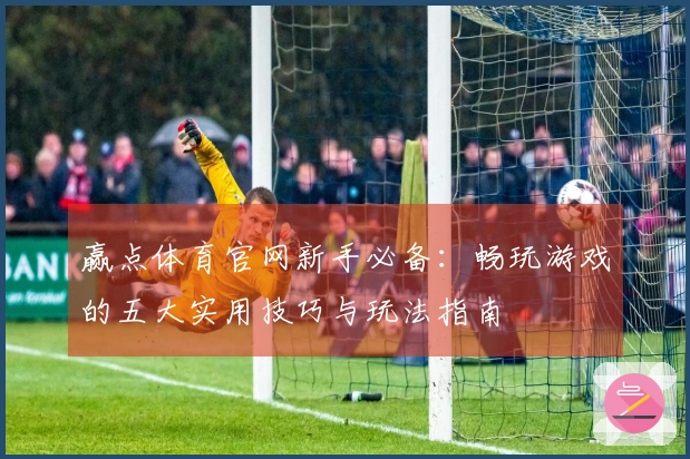 赢点体育官网新手必备：畅玩游戏的五大实用技巧与玩法指南