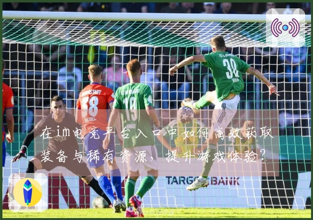 在im电竞平台入口中如何高效获取装备与稀有资源，提升游戏体验？